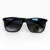 Sunglasses KZG0003-Rayban Shaded